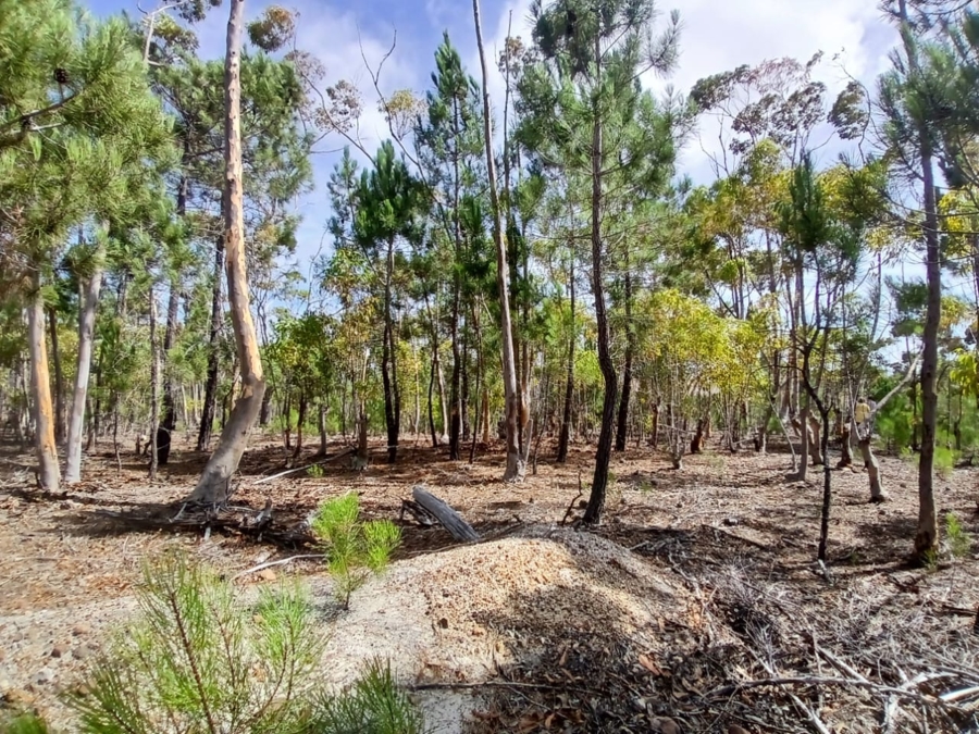 0 Bedroom Property for Sale in Napier Western Cape